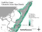 klcalcgreenn.jpg (67764 bytes)