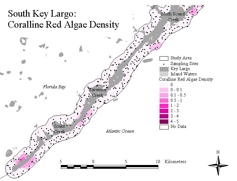 Map of the study area with location of the sites with red coral (red