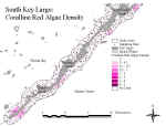 klcoralreds.jpg (63960 bytes)