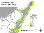 klgreenn.jpg (68238 bytes)