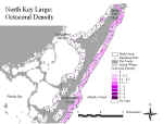 kloctocoraln.jpg (65980 bytes)