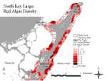 klredn.jpg (68724 bytes)