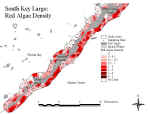 klreds.jpg (64998 bytes)