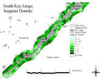 klseagrasss.jpg (65067 bytes)
