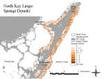 klspongen.jpg (66405 bytes)