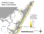 klstonycoraln.jpg (67058 bytes)
