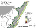 klsubtypen.jpg (66985 bytes)