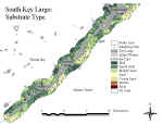 klsubtypes.jpg (63224 bytes)