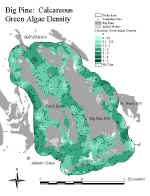 bpcalcgreen.jpg (76354 bytes)