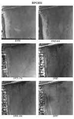 bpoh1photos.jpg (76883 bytes)